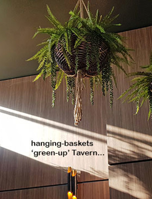 Hanging-Baskets- cool green looks without losing floor-space...