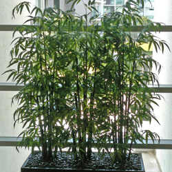 Trough Planters- with Bamboos 1.9m tall - artificial plants, flowers & trees - image 1