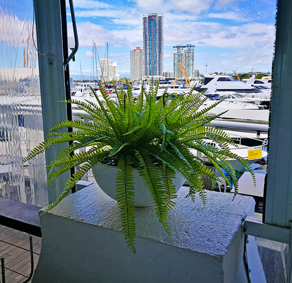 large greenery bowls