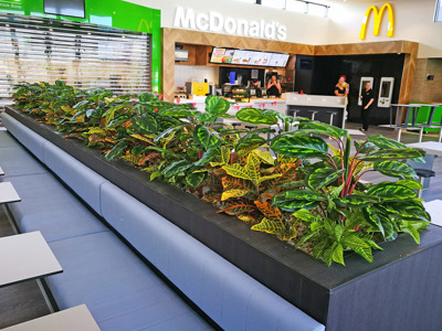 Planter-Box for fast-food mall