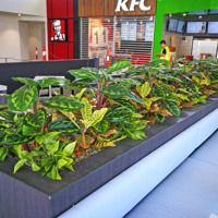 Planter-Box for fast-food mall poplet image 1