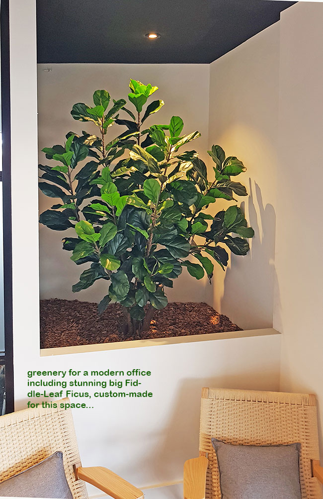 feature large plant in foyer void