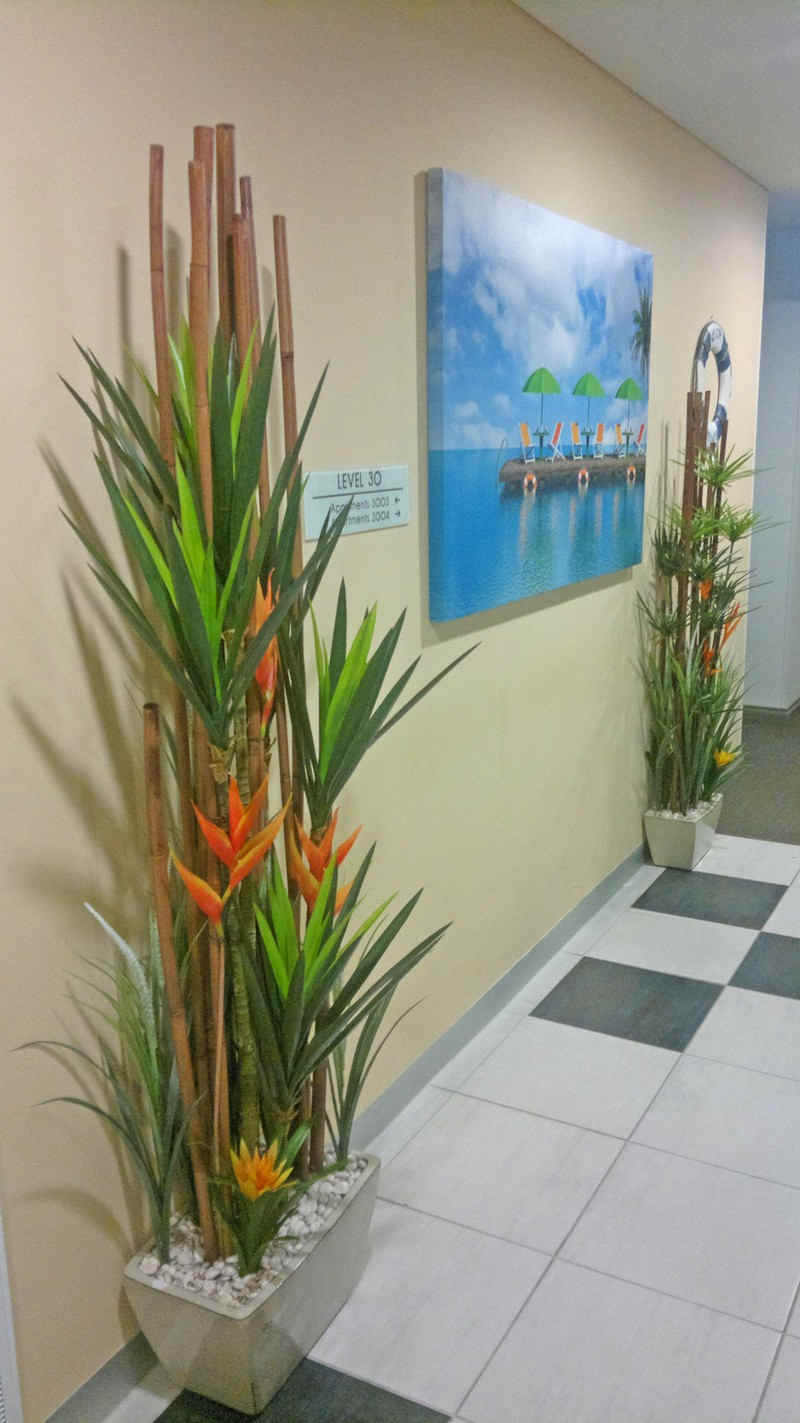 narrow trough planters in lift foyer