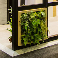 Double-sided green-wall panels custom made to fit display frames... poplet image 3