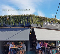 UV-treated artificial greenery softens Cafe facade & frames signage...