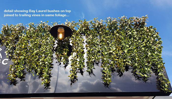 UV-treated artificial greenery softens Cafe facade & frames signage... image 7
