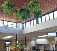 Lush green & dazzling lights- huge artificial hanging-baskets in shopping centre