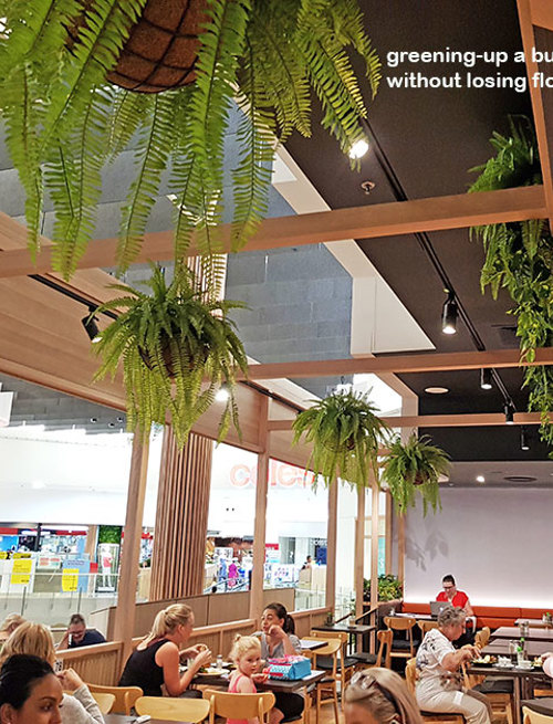 Greening-up a Cafe without losing floor space...