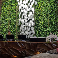 adding artificials to enhance 'live' green-walls- 24/7 wow! poplet image 3