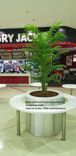 Tropical Palms in Shopping Mall eatery...