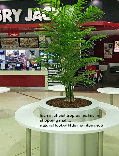Tropical Palms in Shopping Mall eatery...