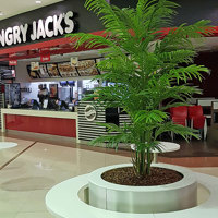 Tropical Palms in Shopping Mall eatery... poplet image 5