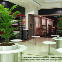 Tropical Palms in Shopping Mall eatery... poplet image 1