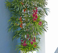 Tropical Resort Feel - adding vibrant colours with artificial plants...