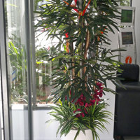 "Tropical Resort Feel"- adding vibrant colours with artificial plants... poplet image 1