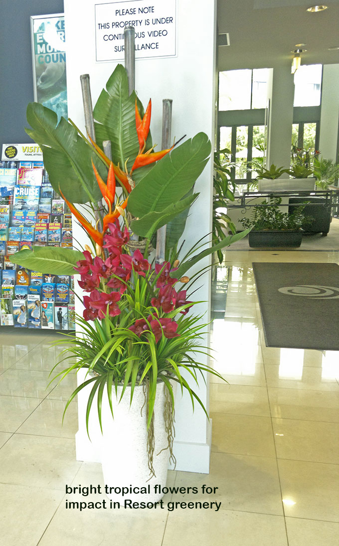 Tropical Resort Feel - adding vibrant colours with artificial plants... image 9