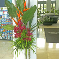 "Tropical Resort Feel"- adding vibrant colours with artificial plants... poplet image 8
