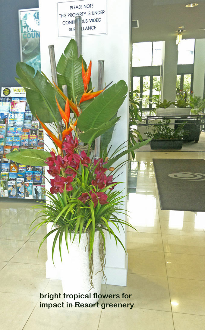 "Tropical Resort Feel"- adding vibrant colours with artificial plants...