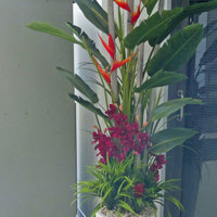 "Tropical Resort Feel"- adding vibrant colours with artificial plants... poplet image 5