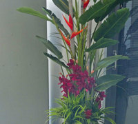 Tropical Resort Feel - adding vibrant colours with artificial plants...