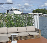 Using the latest UV-treated artificial Plants outdoor for great looks n privacy...