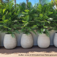 Using the latest UV-treated artificial Plants outdoor for great looks n privacy... poplet image 2
