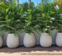 Using the latest UV-treated artificial Plants outdoor for great looks n privacy...