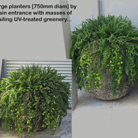 Using the latest UV-treated artificial Plants outdoor for great looks n privacy... poplet image 6