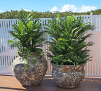 Using the latest UV-treated artificial Plants outdoor for great looks n privacy...