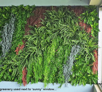 Greenery features in great Surf Club renovation...