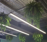 Warehouse to Head Office revamp, with a little 'green' help!
