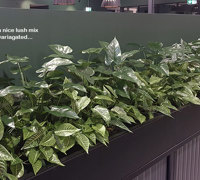 Warehouse to Head Office revamp, with a little 'green' help!