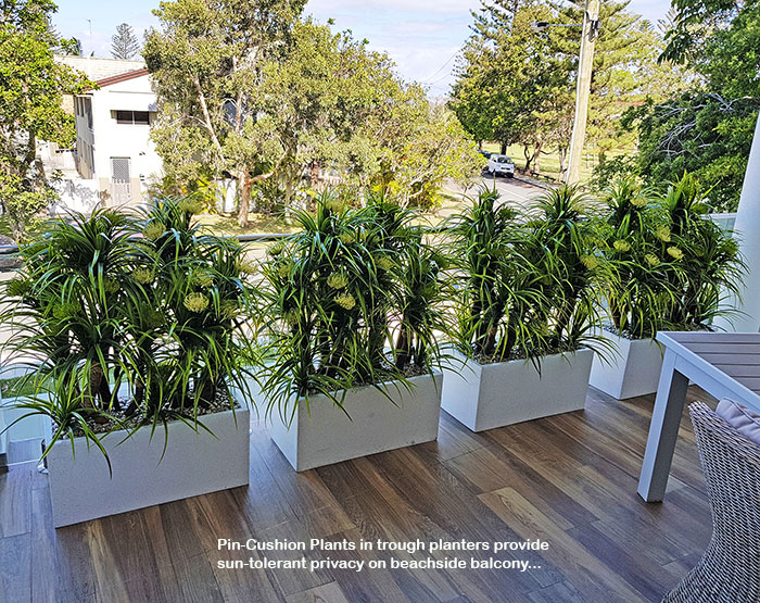 Privacy planters screen balcony... image 7