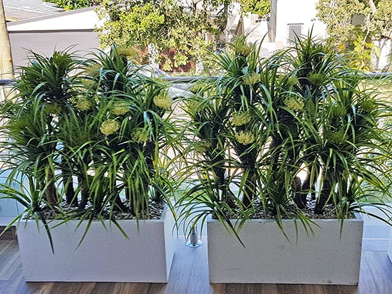 Privacy planters screen balcony... image 3