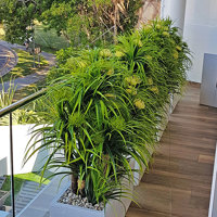 Privacy planters screen balcony... poplet image 3