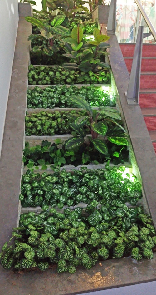 Foyer Revamp- smelly fountains to beautiful cascading gardens...