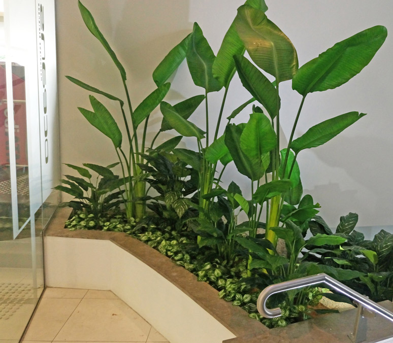 Foyer Revamp- smelly fountains to beautiful cascading gardens...