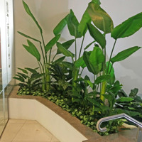 Foyer Revamp- smelly fountains to beautiful cascading gardens... poplet image 4