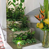 Foyer Revamp- smelly fountains to beautiful cascading gardens... poplet image 6