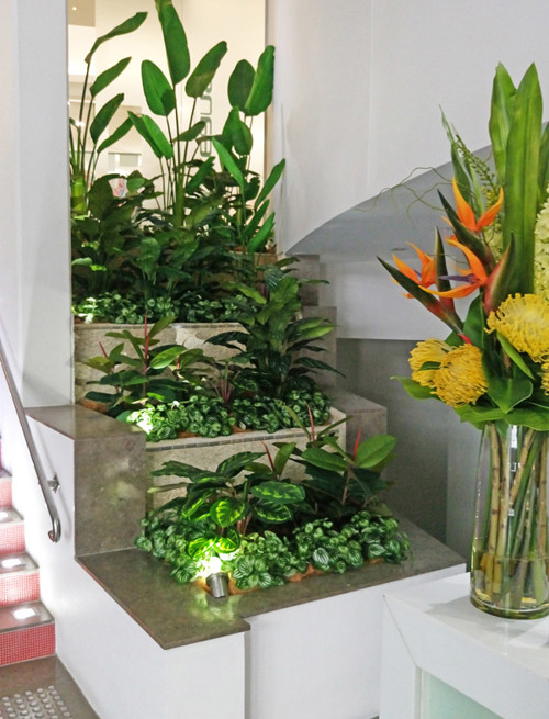 Foyer Revamp- smelly fountains to beautiful cascading gardens...