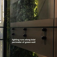 Back-lights add 'cool mood' to tall green-wall in lobby... poplet image 2