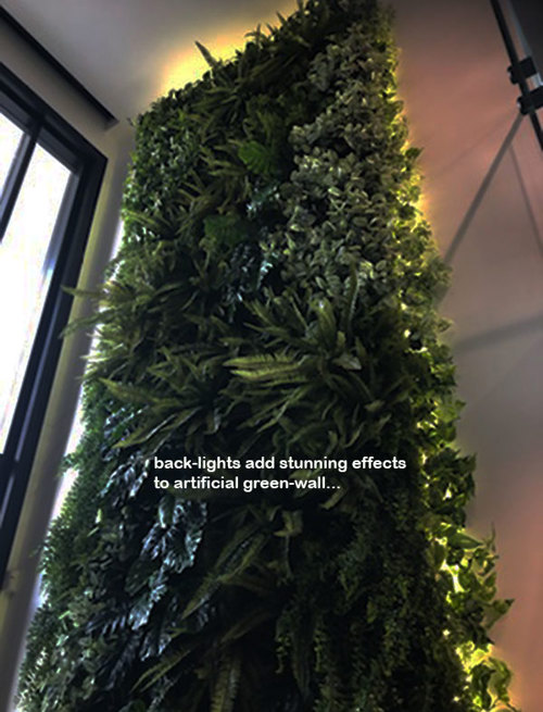 Back-lights add 'cool mood' to tall green-wall in lobby...