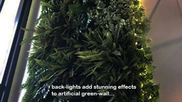 Back-lights add 'cool mood' to tall green-wall in lobby...
