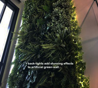 Back-lights add 'cool mood' to tall green-wall in lobby...