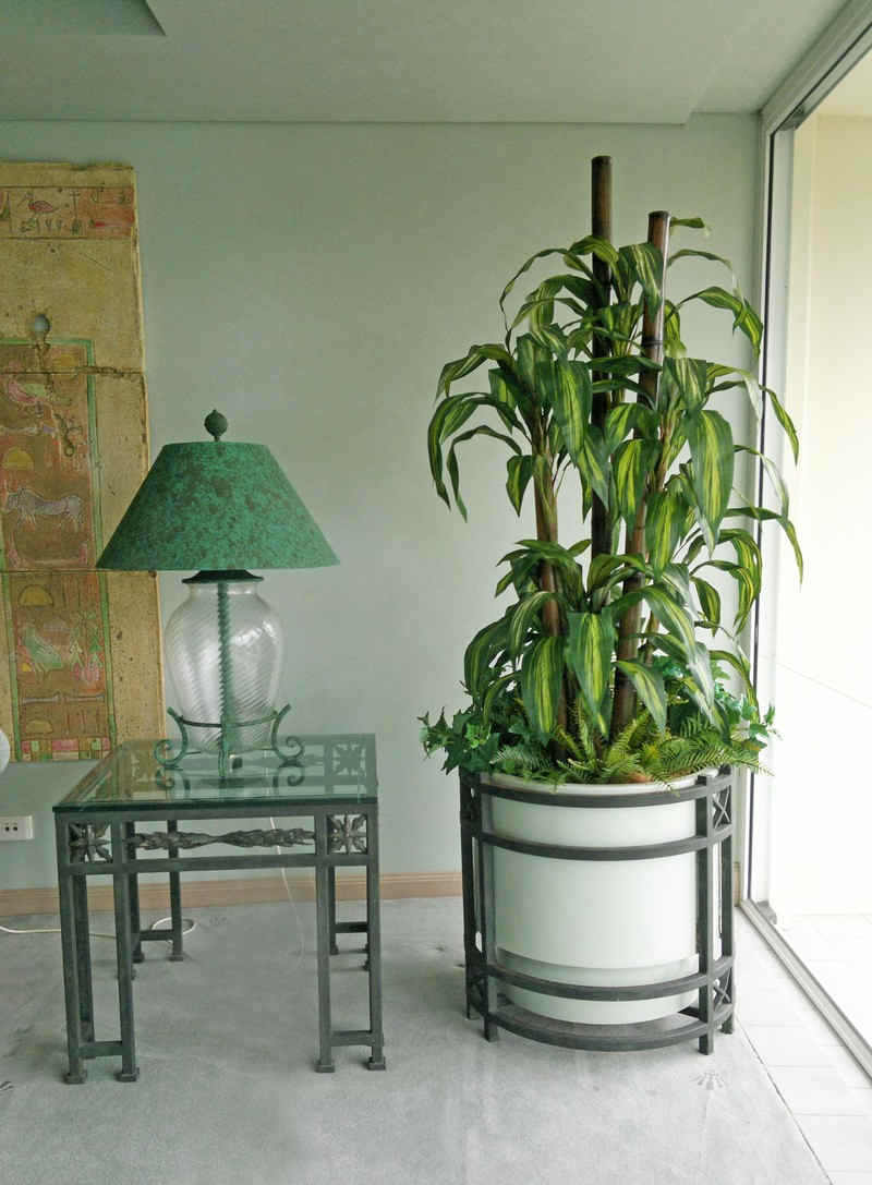 Large Apartment Foyer with large spectacular plants to match... image 8