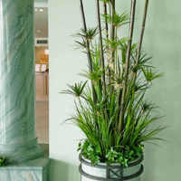 Large Apartment Foyer with large spectacular plants to match... poplet image 5