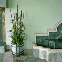 Large Apartment Foyer with large spectacular plants to match... poplet image 4