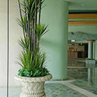 Large Apartment Foyer with large spectacular plants to match... poplet image 2