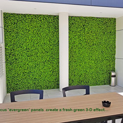 Wall-Panels Ficus 'evergreen' UV panel - artificial plants, flowers & trees - image 1
