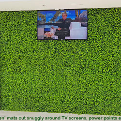 Wall-Panels Ficus 'evergreen' UV panel - artificial plants, flowers & trees - image 2